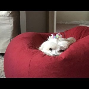 Meet your Posher, Suzie